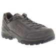 Renegade GTX Lo Nubuck Leather Men s Hiking Shoes Online now